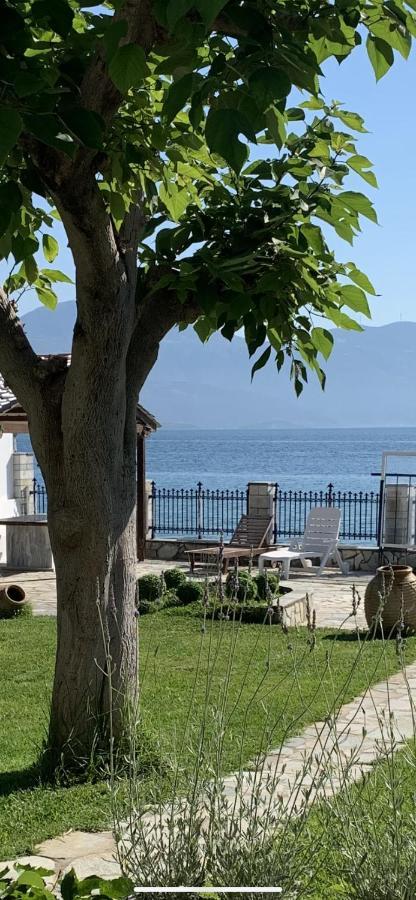 Private Luxury Villa My Beach House Longos (Achaea) Exterior foto